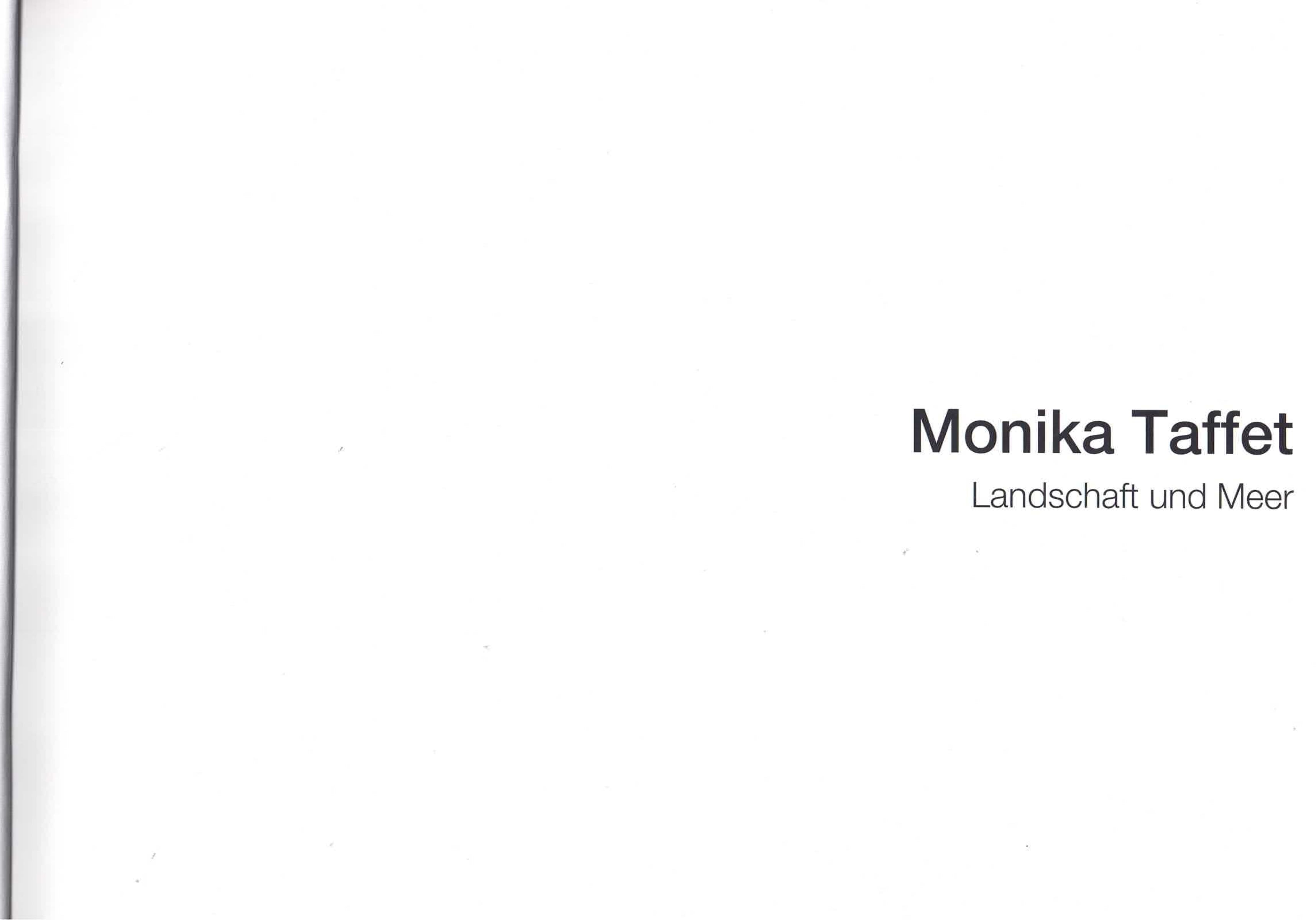 Art catalogue by Monika Taffet, 2016, hardcover approx. 100 pages